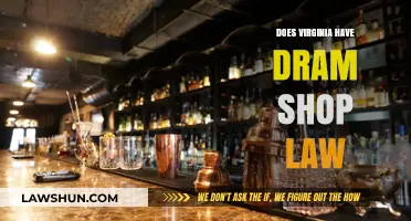 Exploring Virginia's Dram Shop Law: Liability and Legal Insights