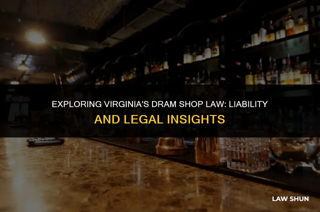 does virginia have dram shop law