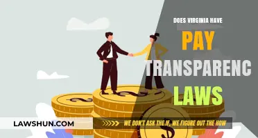 Exploring Pay Transparency Laws in Virginia: What You Need to Know