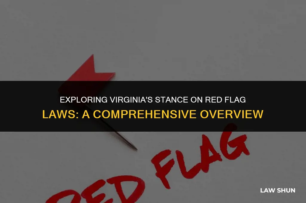 does virginia have red flag laws