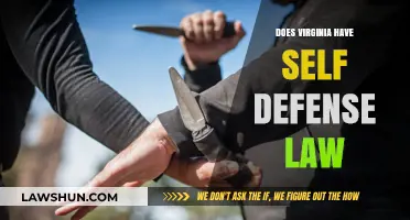 Understanding Virginia's Self-Defense Laws: A Comprehensive Guide