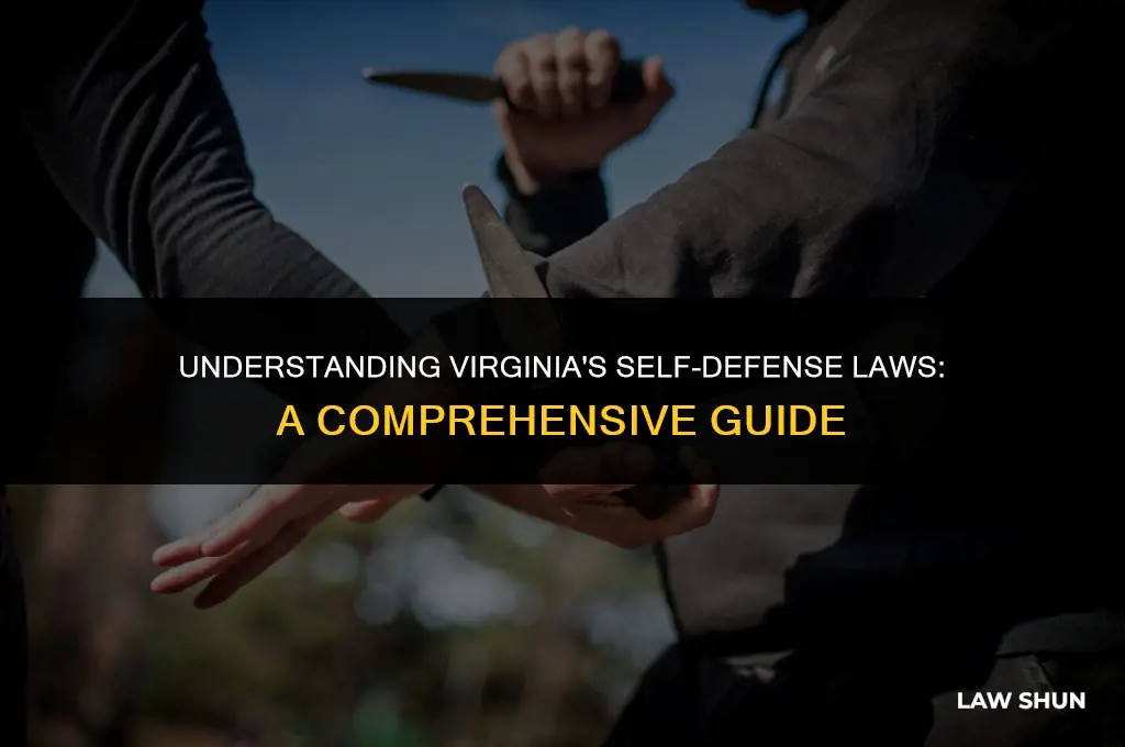 does virginia have self defense law