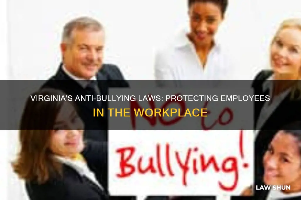 does virginia have workplace anti bullying laws