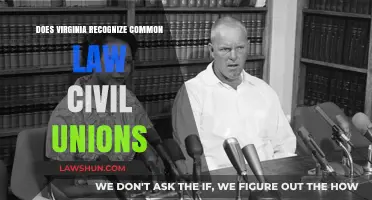 Virginia's Recognition of Common Law Civil Unions