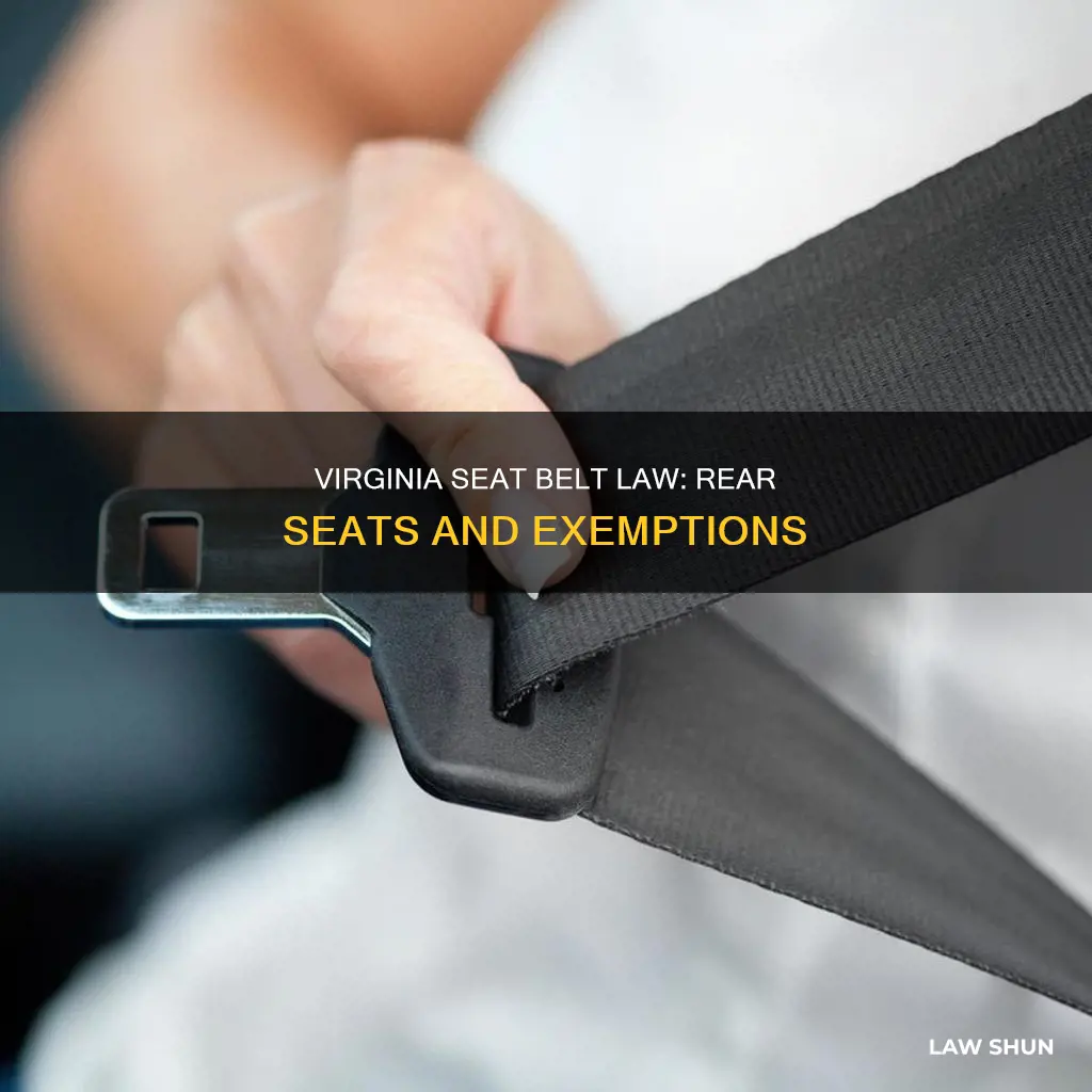 does virginia seat belt law apply to rear seats