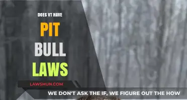 Understanding Vermont's Pit Bull Laws: A Comprehensive Guide