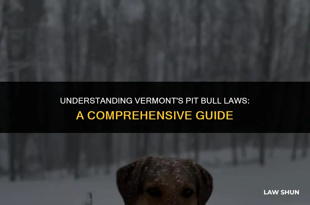 does vt have pit bull laws