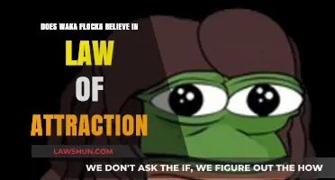 Waka Flocka's Take on the Law of Attraction: Myth or Reality?