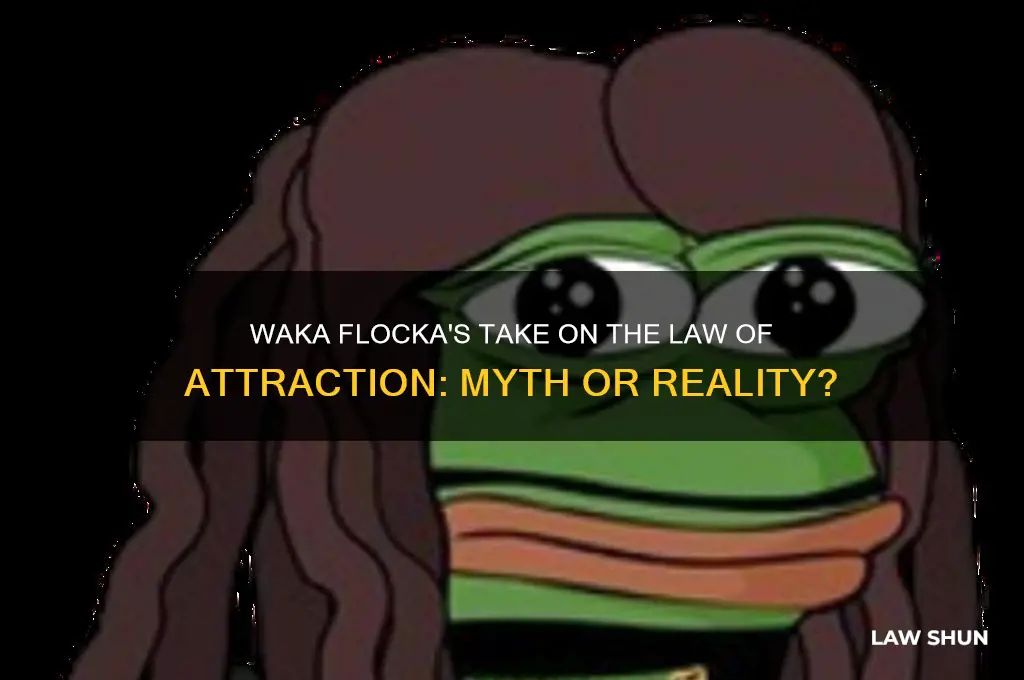 does waka flocka believe in law of attraction