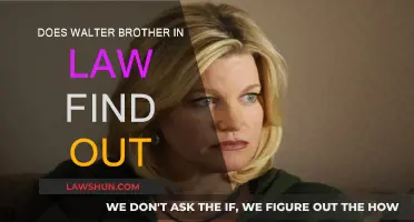Walter's Secret: Will the Brother-in-Law Discover the Truth?