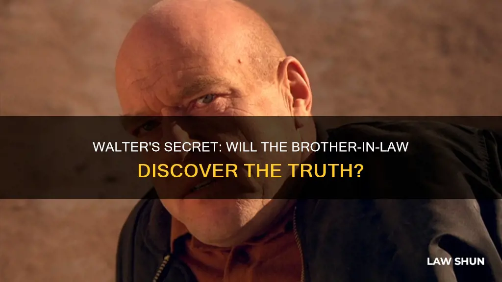 does walter brother in law find out