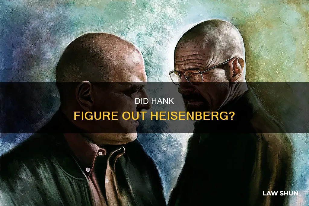 does walter whites brother in law ever find out