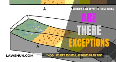 Walther's Law: Examining Applicability and Exceptions to the Rule