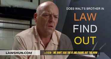 Did Walt's Secret Get Exposed to Skyler's Sister's Husband?