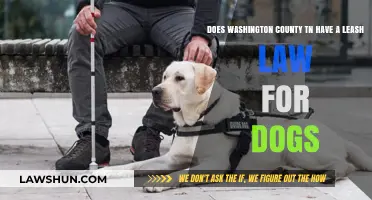 Washington County TN Leash Law: What Dog Owners Need to Know