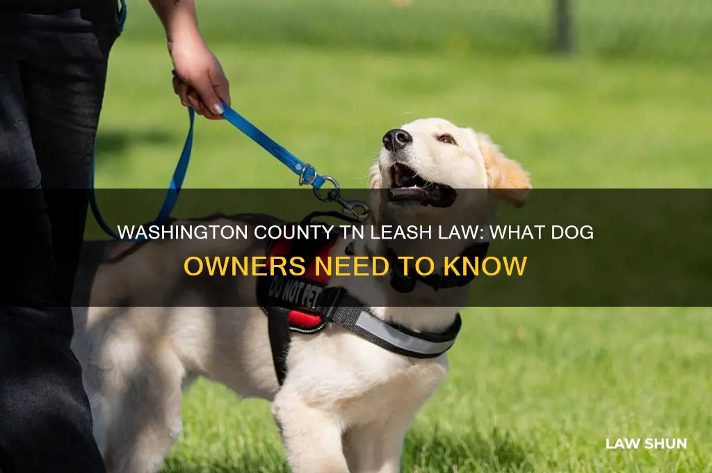does washington county tn have a leash law for dogs