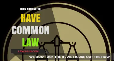 Washington's Common Law: What's the Status?