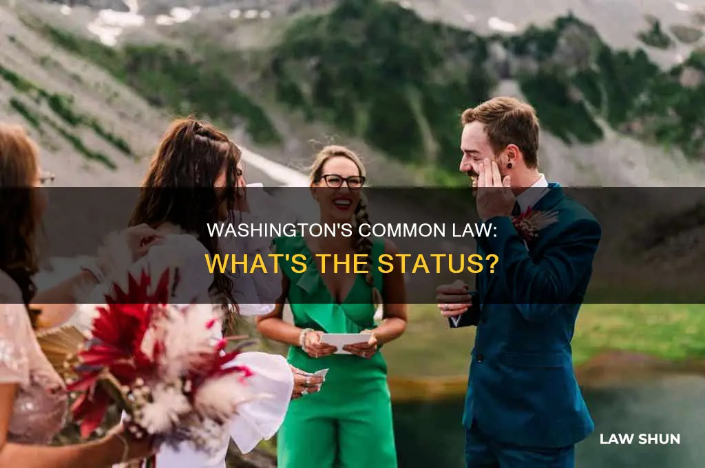 does washington have common law