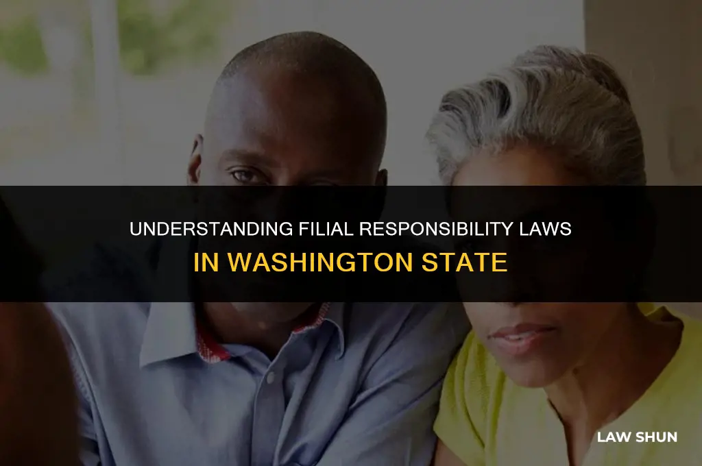 does washington have filial responsibility law