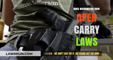 Understanding Washington State's Open Carry Laws: What You Need to Know