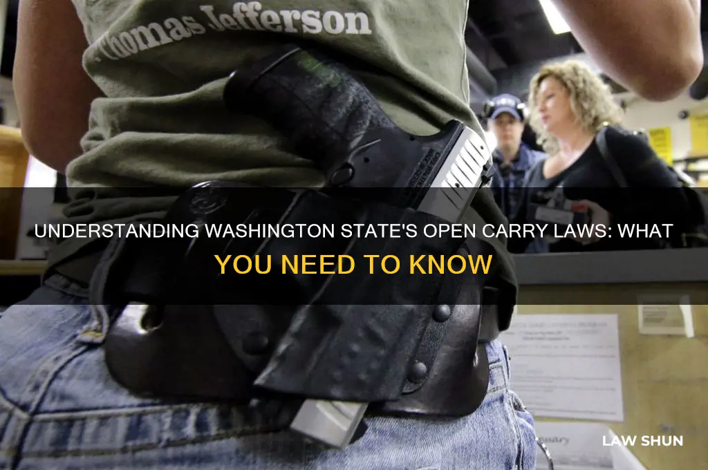 does washington have open carry laws