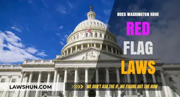 Exploring Washington's Stance on Red Flag Laws: A Comprehensive Guide