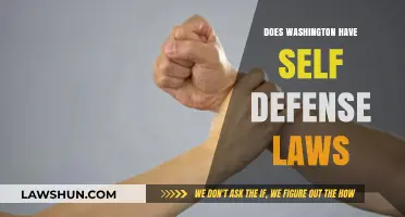 Understanding Self-Defense Laws in Washington: A Comprehensive Guide