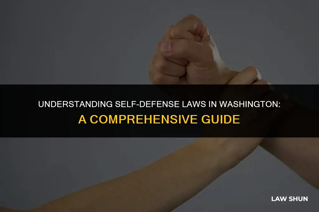does washington have self defense laws