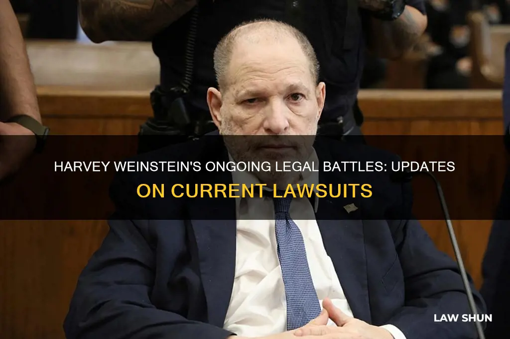 does weinstein still in law suits