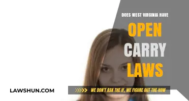 West Virginia's Open Carry Laws: What You Need to Know