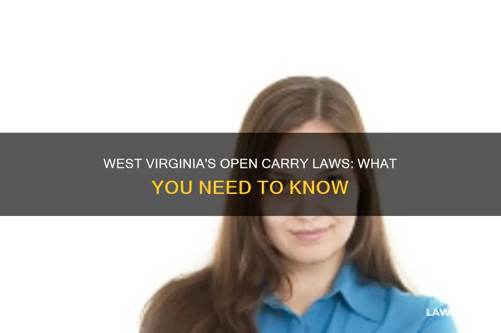 does west virginia have open carry laws