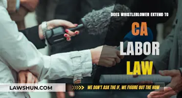 Whistleblower Protections: Do They Apply Under California Labor Laws?