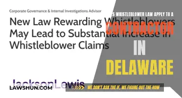 Whistleblower Law: Contractor Rights in Delaware