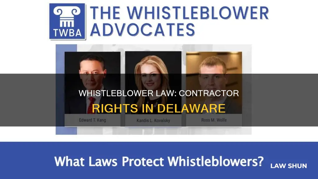 does whistleblower law apply to a contractor in delaware