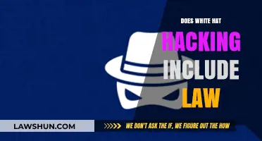 Exploring the Legal Landscape of White Hat Hacking