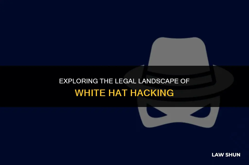 does white hat hacking include law