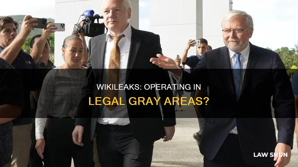 does wikileaks break the law