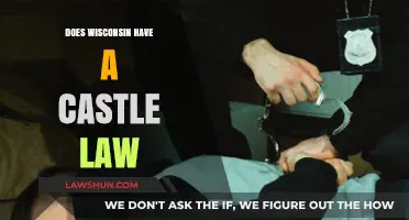 Exploring Wisconsin's Legal Landscape: The Castle Law Debate