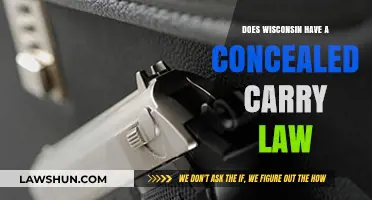 Wisconsin's Concealed Carry Law: What You Need to Know