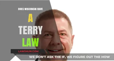 Exploring Wisconsin's Legal Landscape: The Terry Law Debate