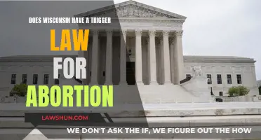 Wisconsin's Abortion Laws: Triggering a Ban?