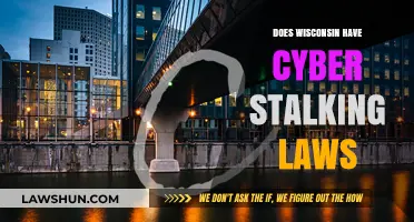 Understanding Wisconsin's Cyberstalking Laws: A Comprehensive Guide