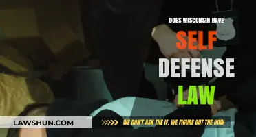 Understanding Wisconsin's Self-Defense Laws: A Comprehensive Guide