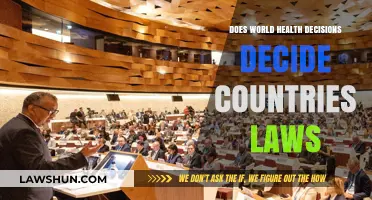 Global Health Policies: Shaping National Laws or Vice Versa?