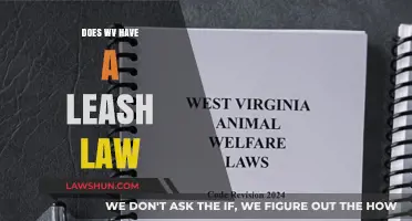 Exploring West Virginia's Leash Laws: A Comprehensive Guide for Pet Owners
