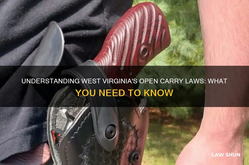 does wv have open carry law