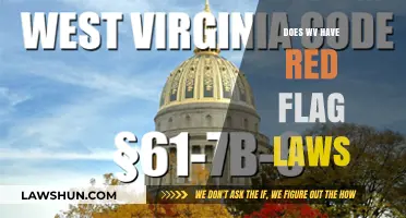 Exploring West Virginia's Stance on Red Flag Legislation