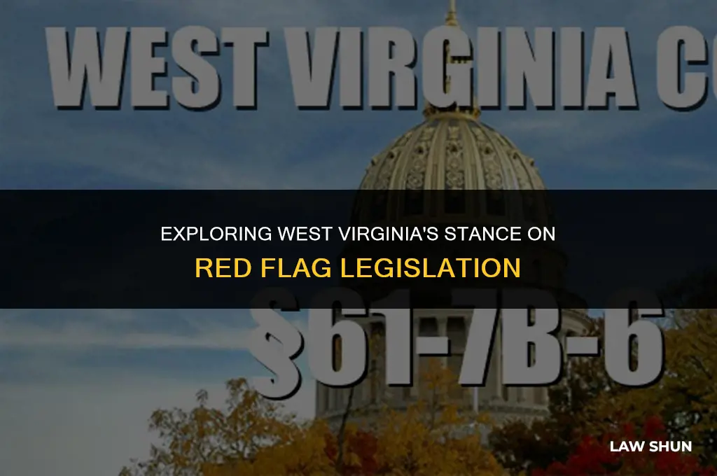 does wv have red flag laws