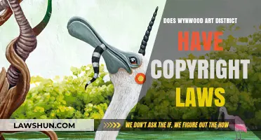 Wynwood Art District: Copyright Laws and Creative Freedom Explained