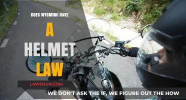 Exploring Wyoming's Motorcycle Helmet Laws: A Rider's Guide